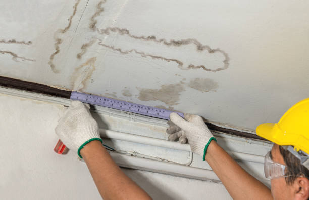 Reliable Flood Cleanup contractor in Woodlawn, VA by Water Damage Irwin